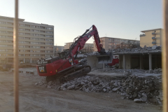 Bildnachweis: Dr. Andreas C. Hofmann