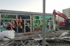 Bildnachweis: Dr. Andreas C. Hofmann